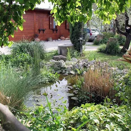 Il Casale Di Rosaria Affittacamere Zagarolo