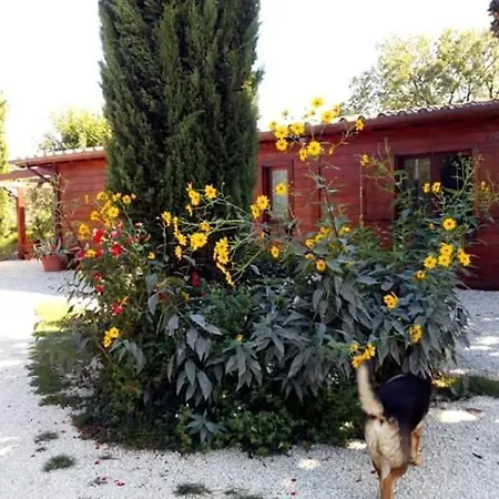 Il Casale Di Rosaria Zagarolo
